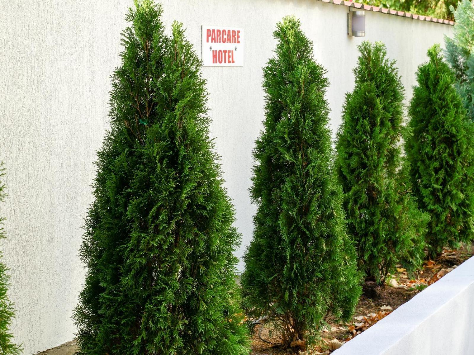 Hotel Criss Bukarest Kültér fotó